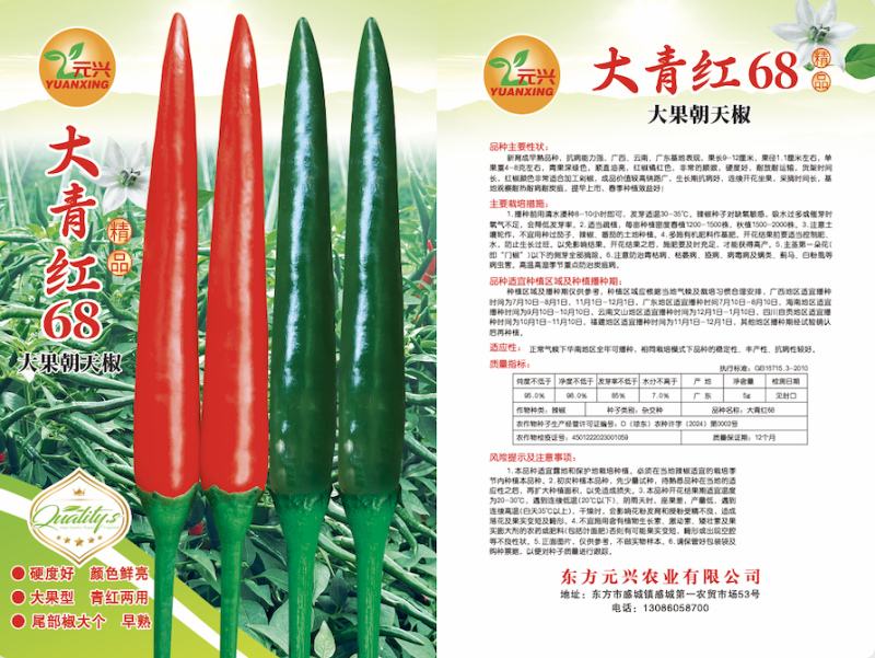 青红两用大青红68大果朝天椒种子，大果高产硬度好，招代理