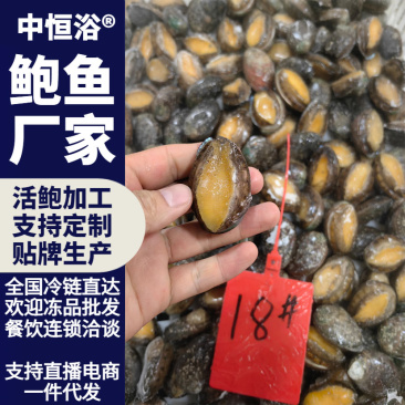 活冻鲍鱼18头鲍鱼鲜活速冻一手海鲜水产冻品批发