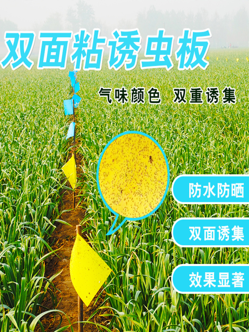 双面粘胶多色诱虫板适合农田果蔬种植厂家直销