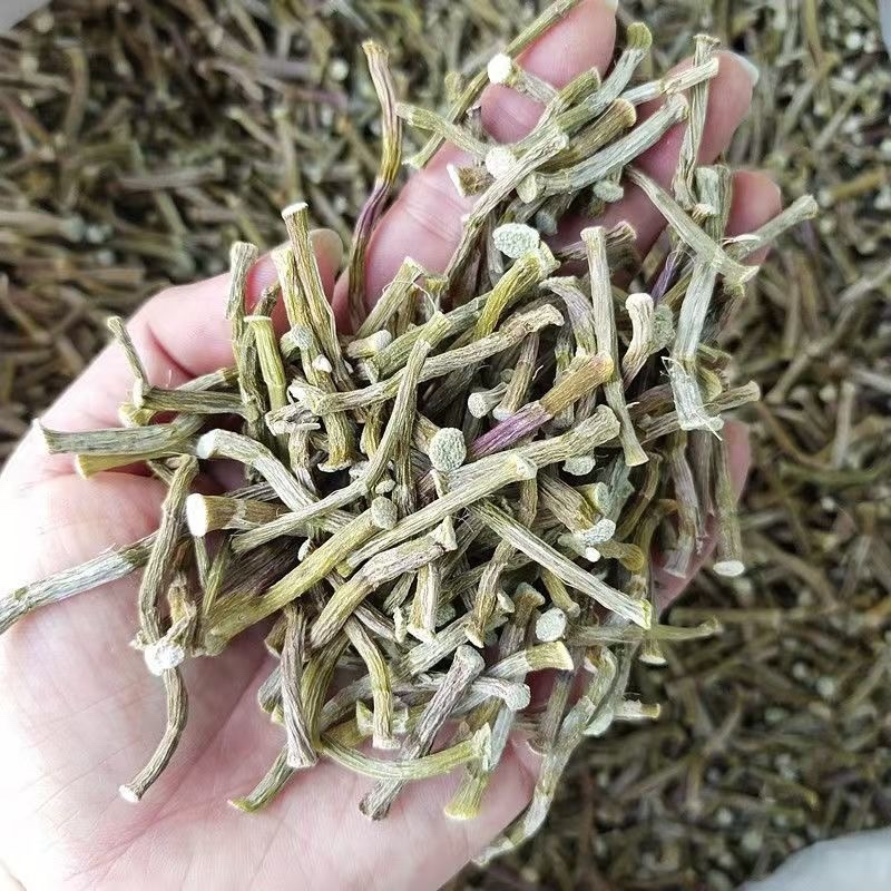 铁皮石斛寸条大货批发一手货源