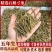铁皮石斛寸条大货批发一手货源