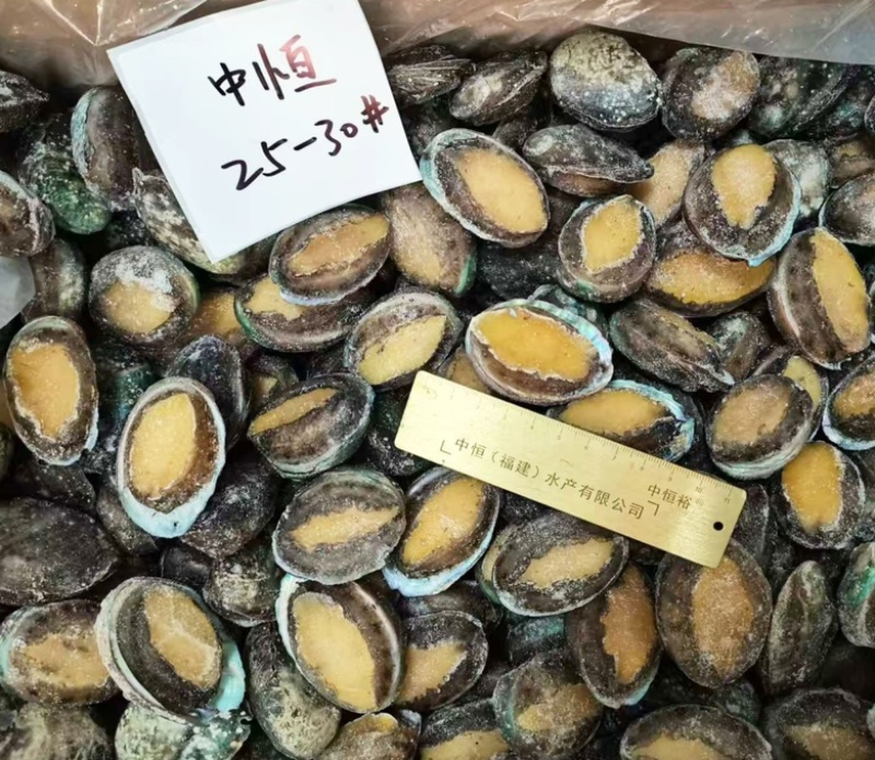 鲍鱼厂家活冻鲍鱼25-30头鲜活速冻鲍鱼现货批发