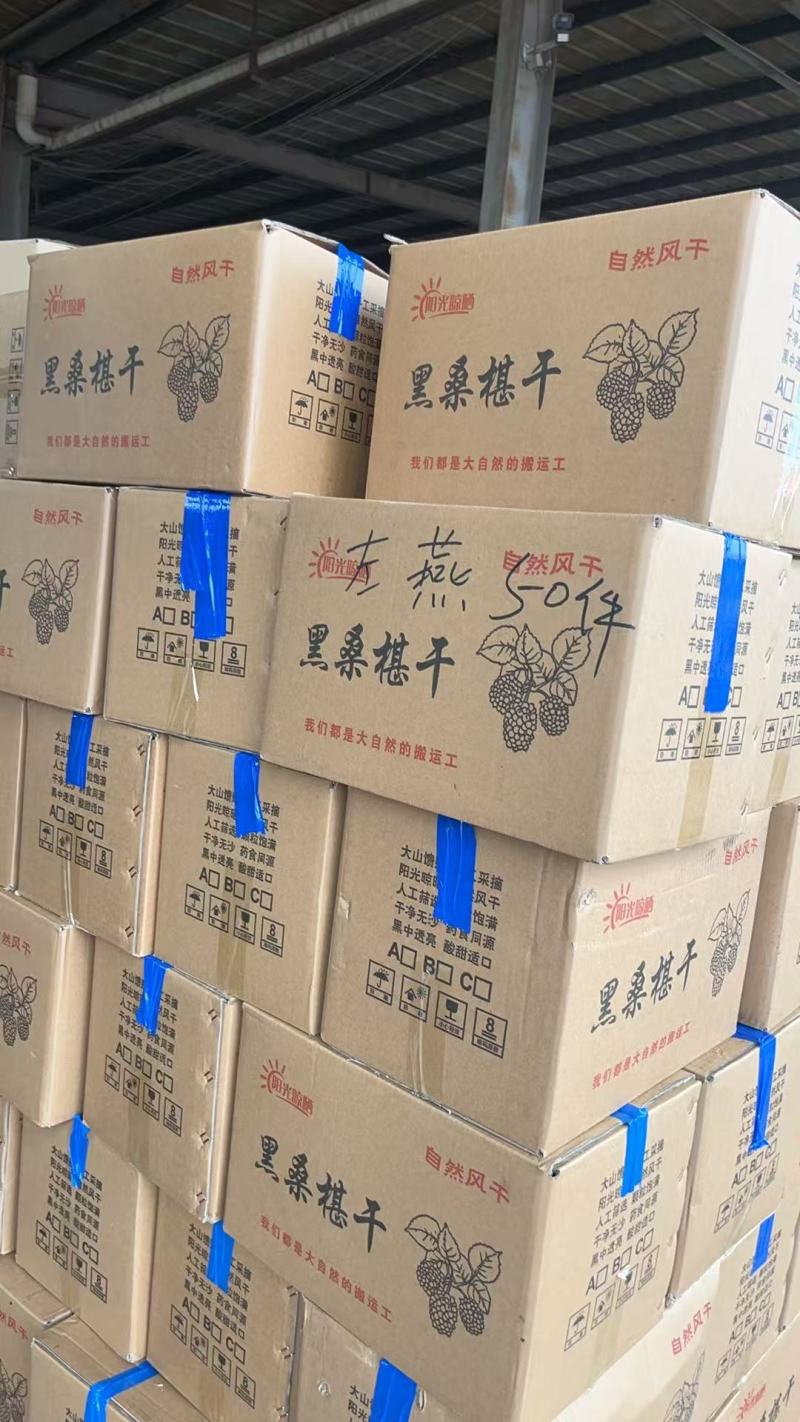 河北沧州水洗桑椹干，药用桑葚干，桑椹子，大量有现货，