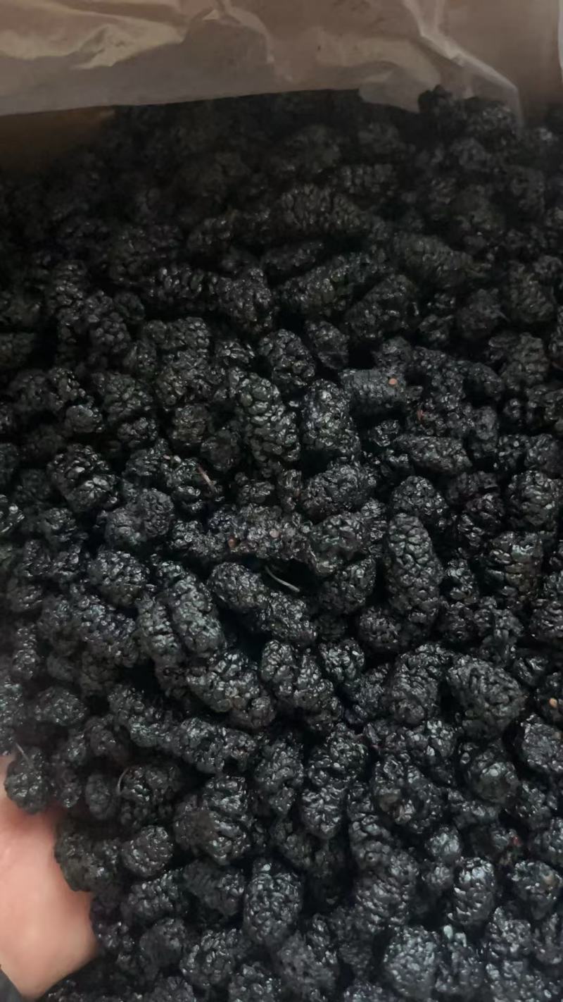 河北沧州水洗桑椹干，药用桑葚干，桑椹子，大量有现货，