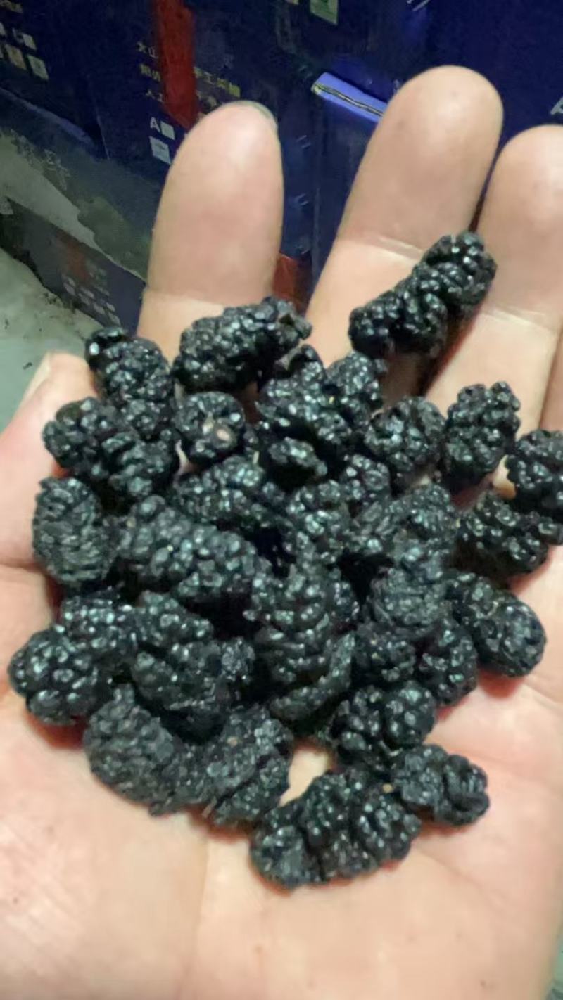 【桑葚干】河北水洗桑椹干药用桑葚干大量供应干净无沙