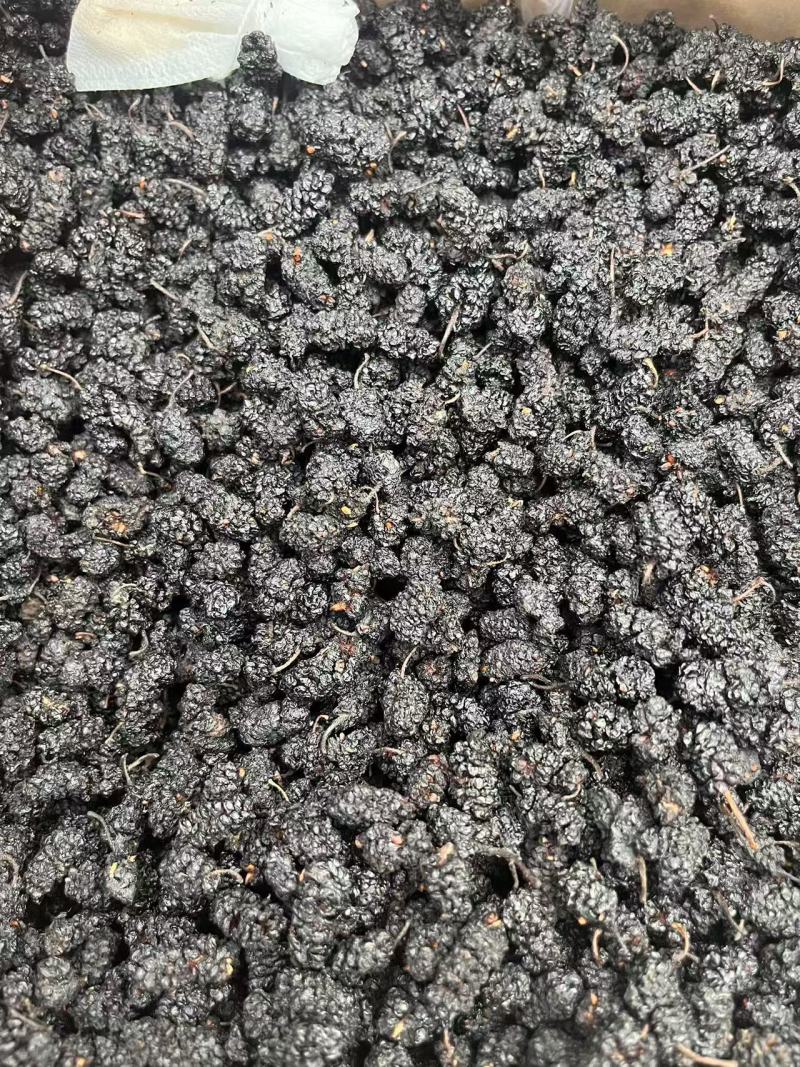 【桑葚干】河北水洗桑椹干药用桑葚干大量供应干净无沙