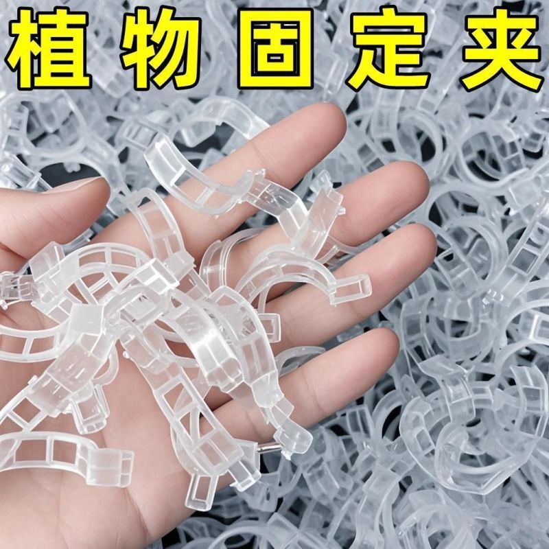 豆角西红柿黄瓜绿植绑枝蔬菜藤蔓捆绑固定夹扣绑枝