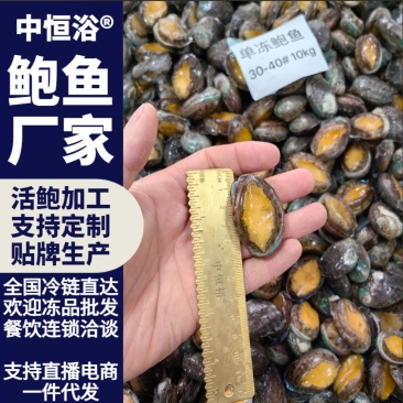 鲍鱼新鲜活冻鲍鱼30-40头供应酒店餐饮电商海鲜批发