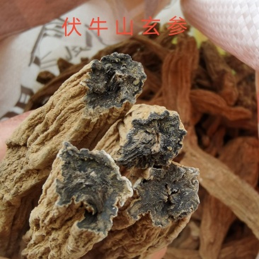 伏牛山玄参，新货干货，自然晾晒，无硫无假。