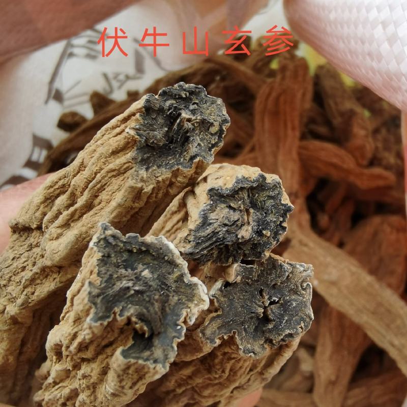 伏牛山玄参，新货干货，自然晾晒，无硫无假。
