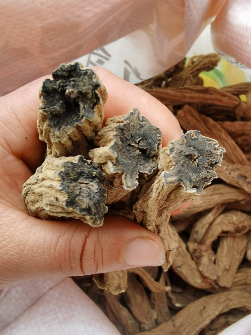 伏牛山玄参，新货干货，自然晾晒，无硫无假。