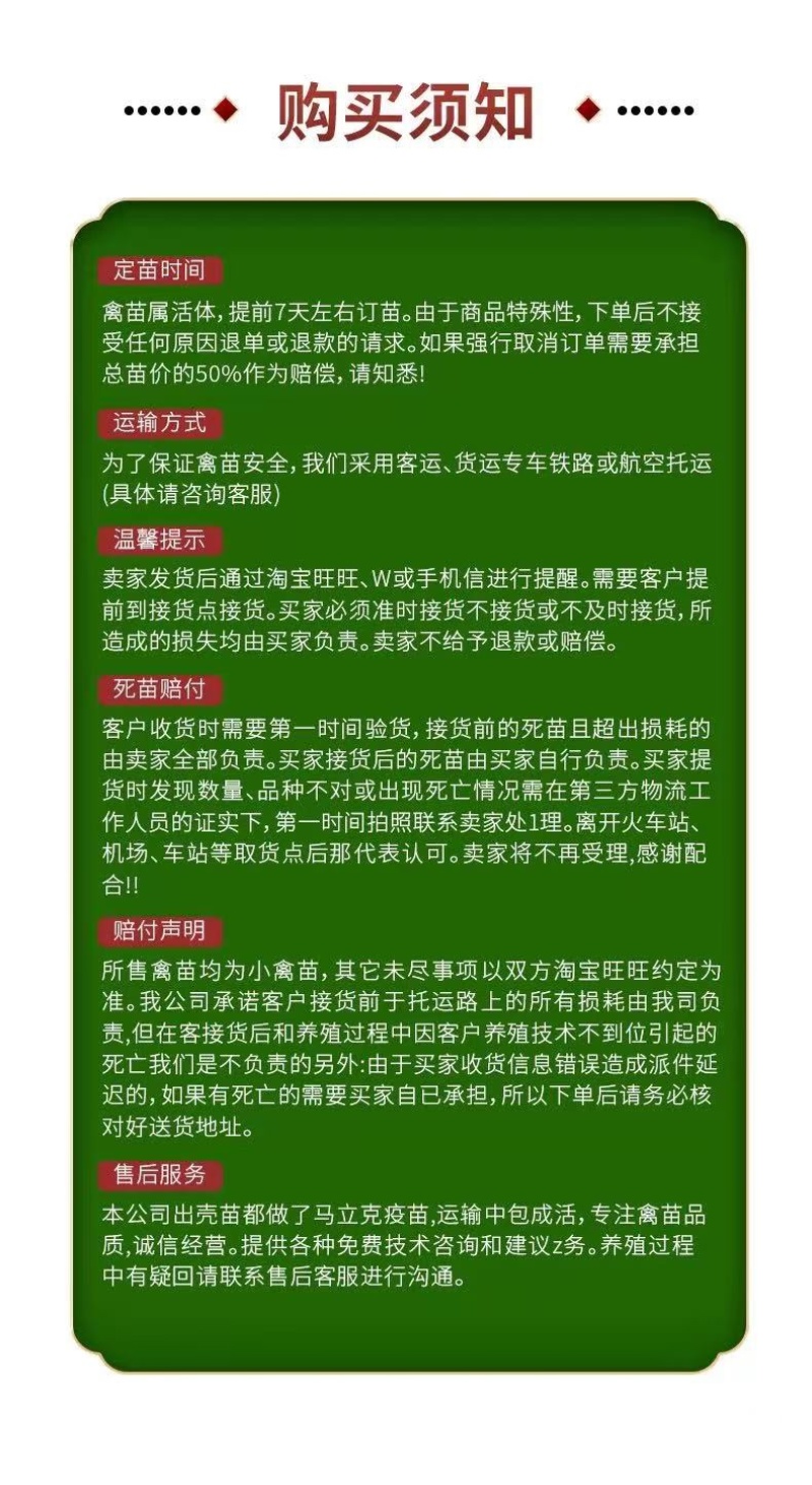 汕头狮头鹅苗批发纯种狮头鹅苗鹅苗原产地汕头发货