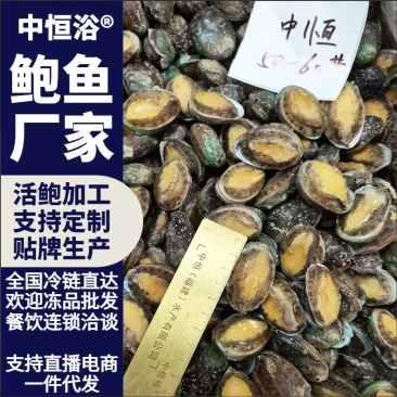 活冻鲍鱼50-60头1斤海鲜自助酒店宴席超市商用批发