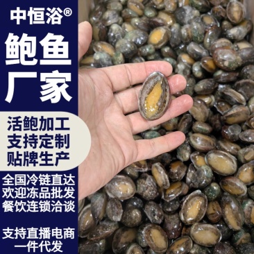 鲜活速冻鲍鱼60-80头鲍鱼工厂供应海鲜水产冻品批发