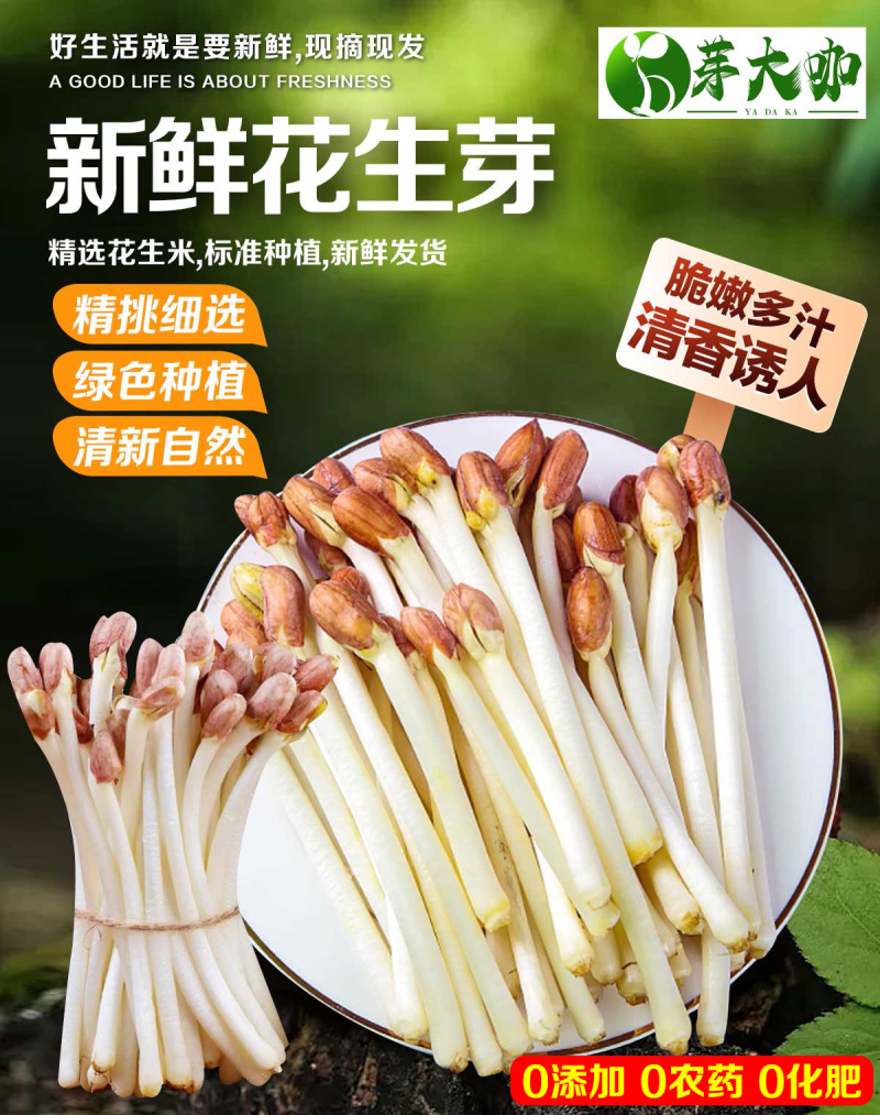 花生芽现产现发品质保证支持视频看货欢迎下单品尝