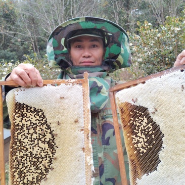 土蜂蜜