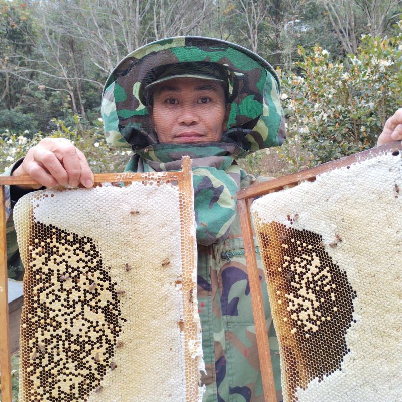 土蜂蜜