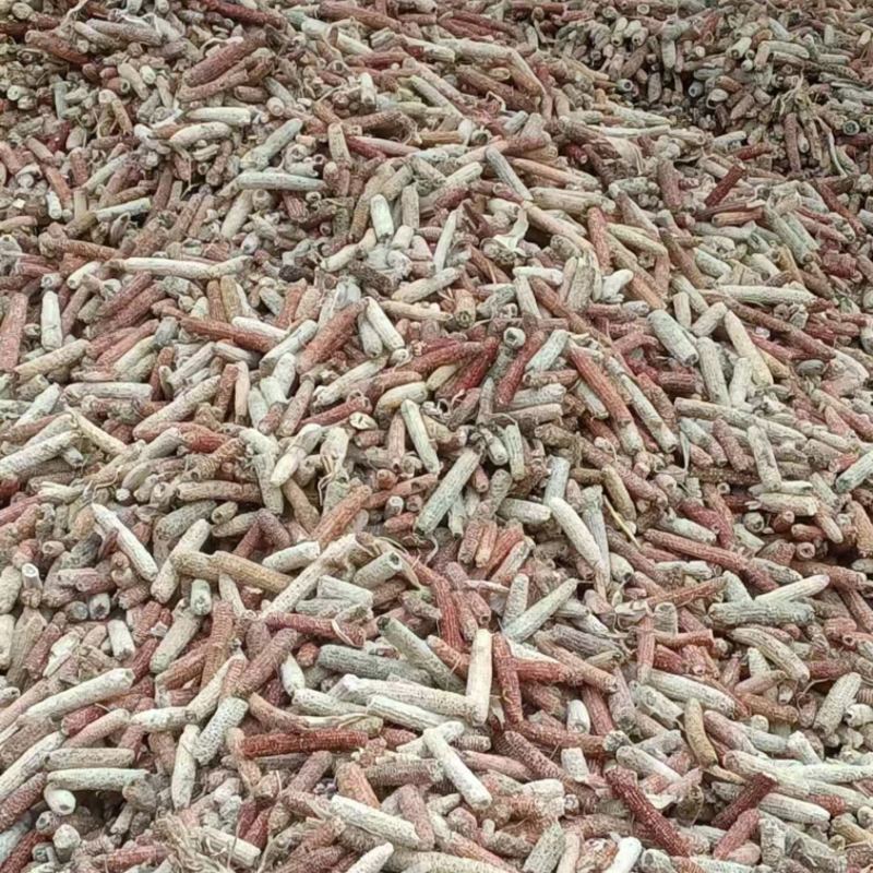 热销玉米芯颗粒食用菌深加工品质好长期供货价格实惠欢迎联系
