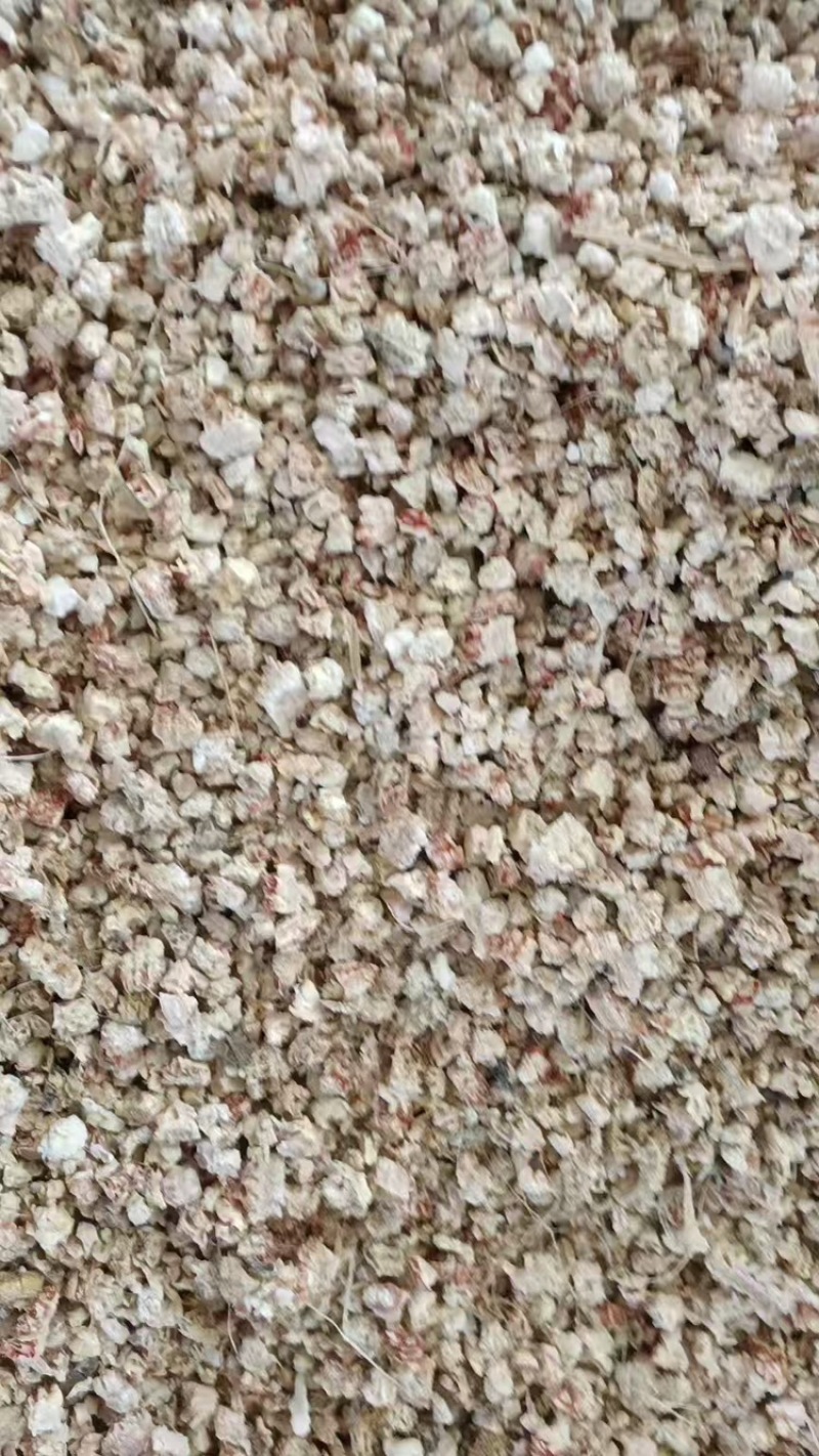 热销玉米芯颗粒食用菌深加工品质好长期供货价格实惠欢迎联系