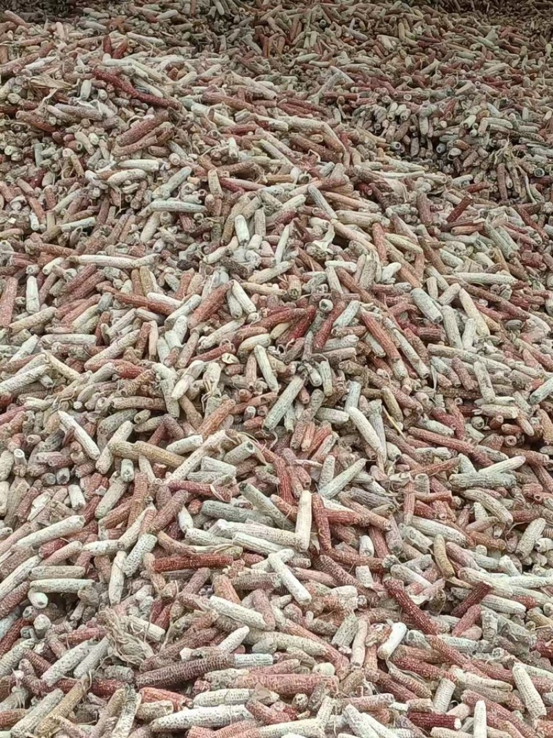热销玉米芯颗粒食用菌深加工品质好长期供货价格实惠欢迎联系