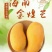 海南三亚精品一级金煌芒顺丰京东快递包邮支持代发