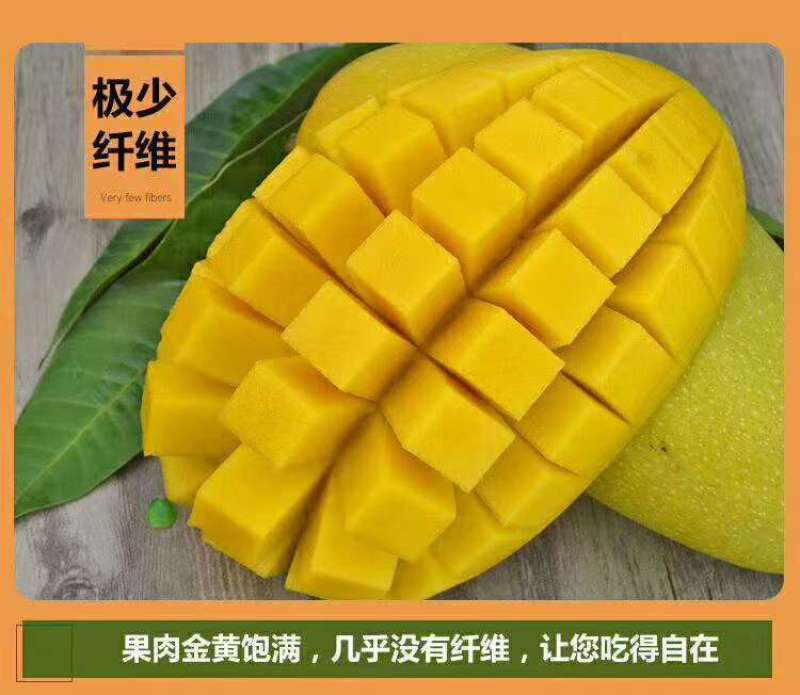 海南三亚精品一级金煌芒顺丰京东快递包邮支持代发