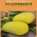海南三亚精品一级金煌芒顺丰京东快递包邮支持代发