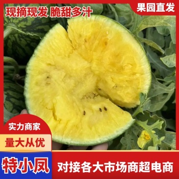 西瓜特小凤西瓜精品黄壤小西瓜口感脆甜多汁产地直供