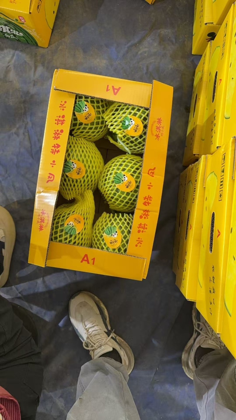 西瓜特小凤西瓜精品黄壤小西瓜口感脆甜多汁产地直供