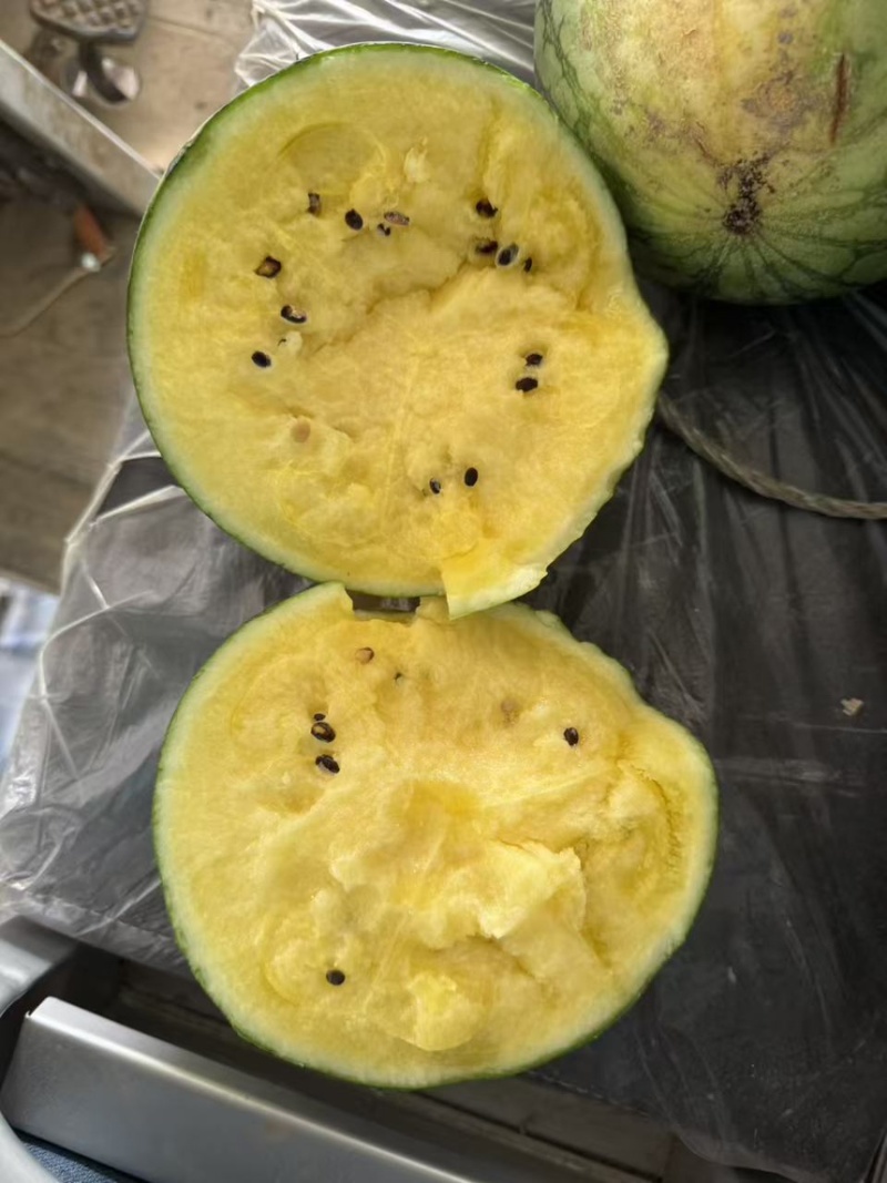 西瓜特小凤西瓜精品黄壤小西瓜口感脆甜多汁产地直供