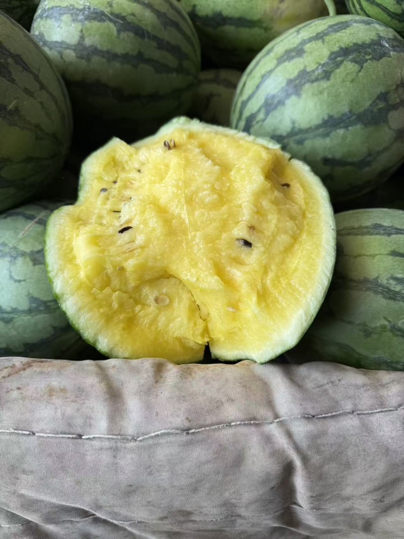西瓜特小凤西瓜精品黄壤小西瓜口感脆甜多汁产地直供