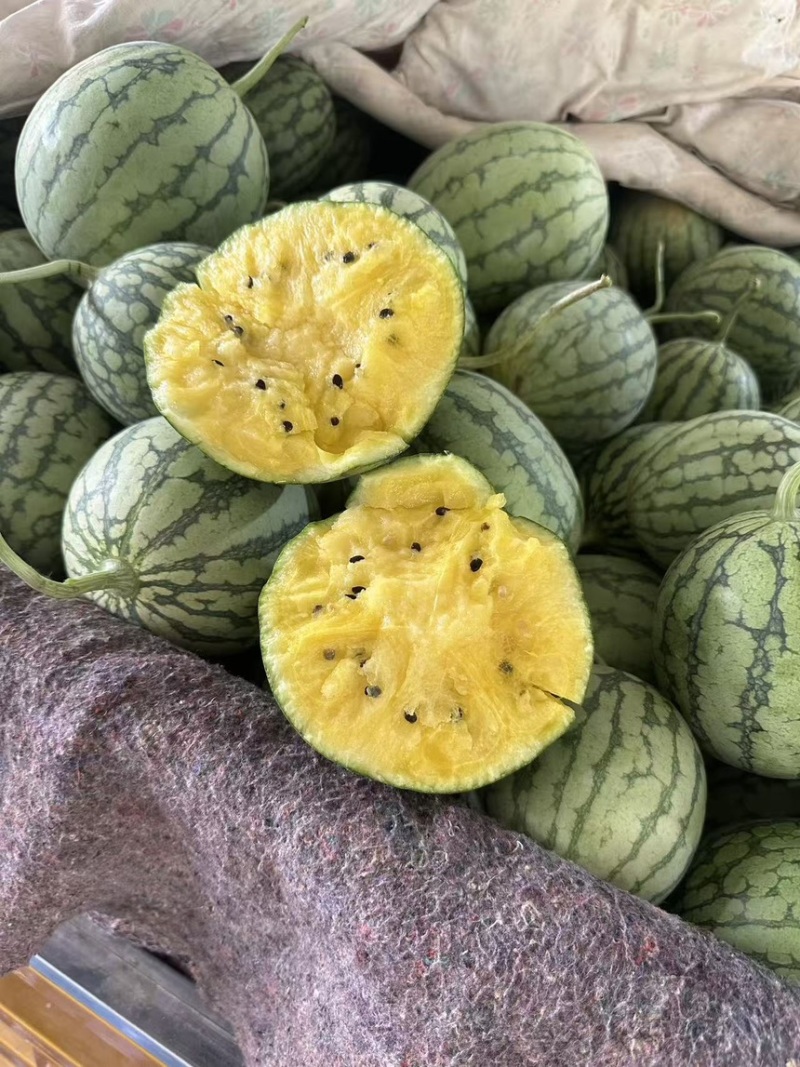西瓜特小凤西瓜精品黄壤小西瓜口感脆甜多汁产地直供
