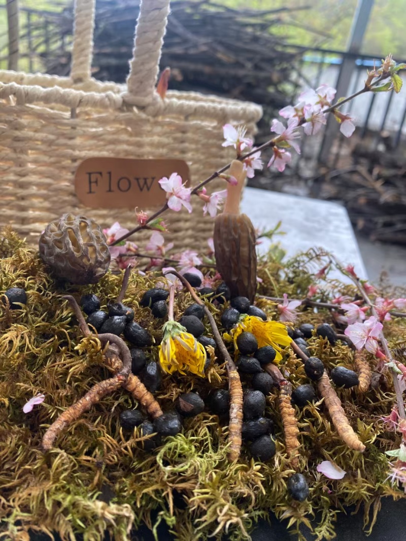 优质虫草产地直发规格齐全长期供应