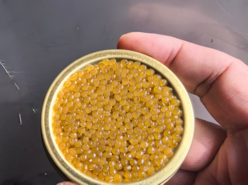 精品鱼子酱，厂家货源充足保质保量欢迎随时订购
