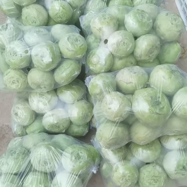 精品苤蓝新鲜