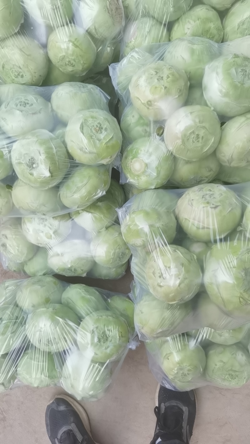 精品苤蓝新鲜