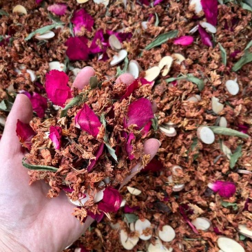 金龙茶，茉莉花，桑枝片，甜叶菊，玫瑰花瓣