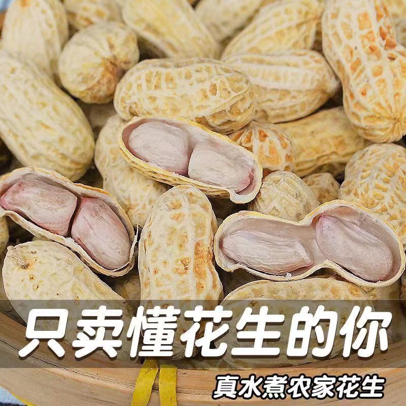水煮花生批发