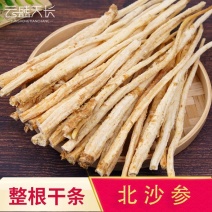 北沙参