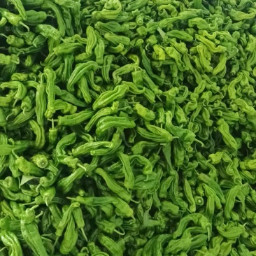 薄皮苏椒，安徽基地，产地直发，大棚种植，价格优惠品质保证