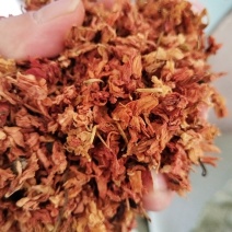 茉莉花，今年新货无硫足干