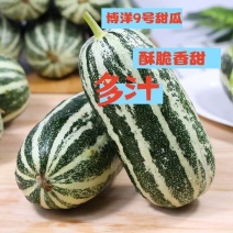 博洋九号山东头茬对接各大市场商超档口电商平台代发业务