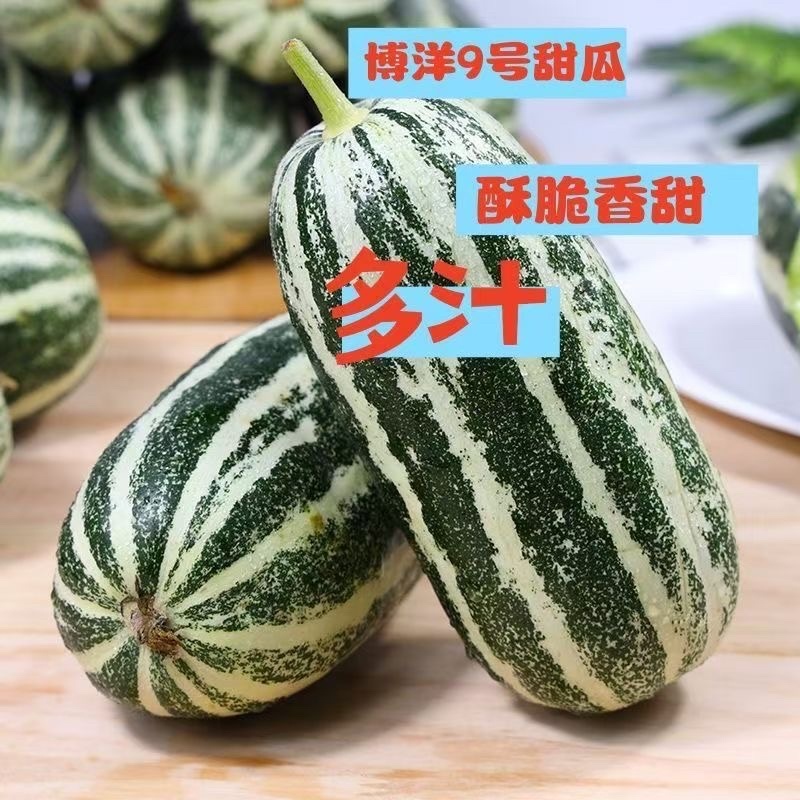 博洋九号山东头茬对接各大市场商超档口电商平台代发业务