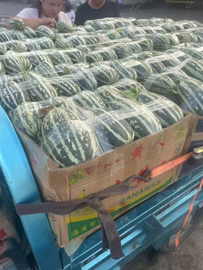 博洋九号山东头茬对接各大市场商超档口电商平台代发业务