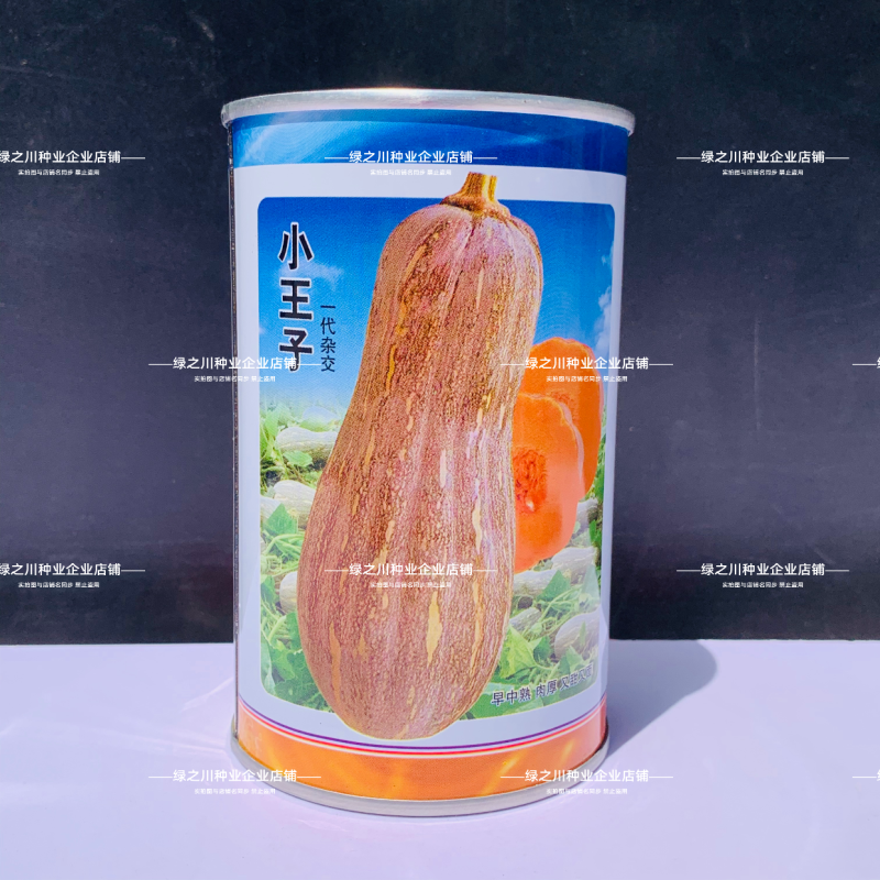 华渝小王子蜜本南瓜种子超甜粉面密本大果型中熟高产甜面南瓜