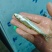 棍子鱼大量上市发货有意向联系味道嘎嘎好吃