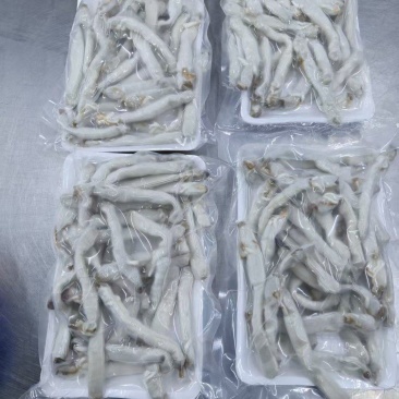 250克单冻沙虫