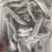 250克单冻沙虫