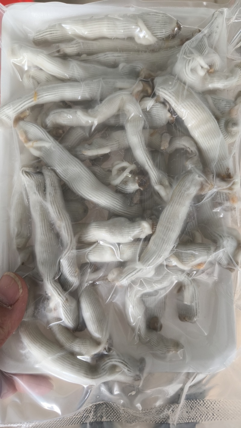 250克单冻沙虫