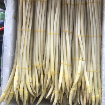 湖北仙桃藕带，诚信经营，保证质量，主营b货和真空包